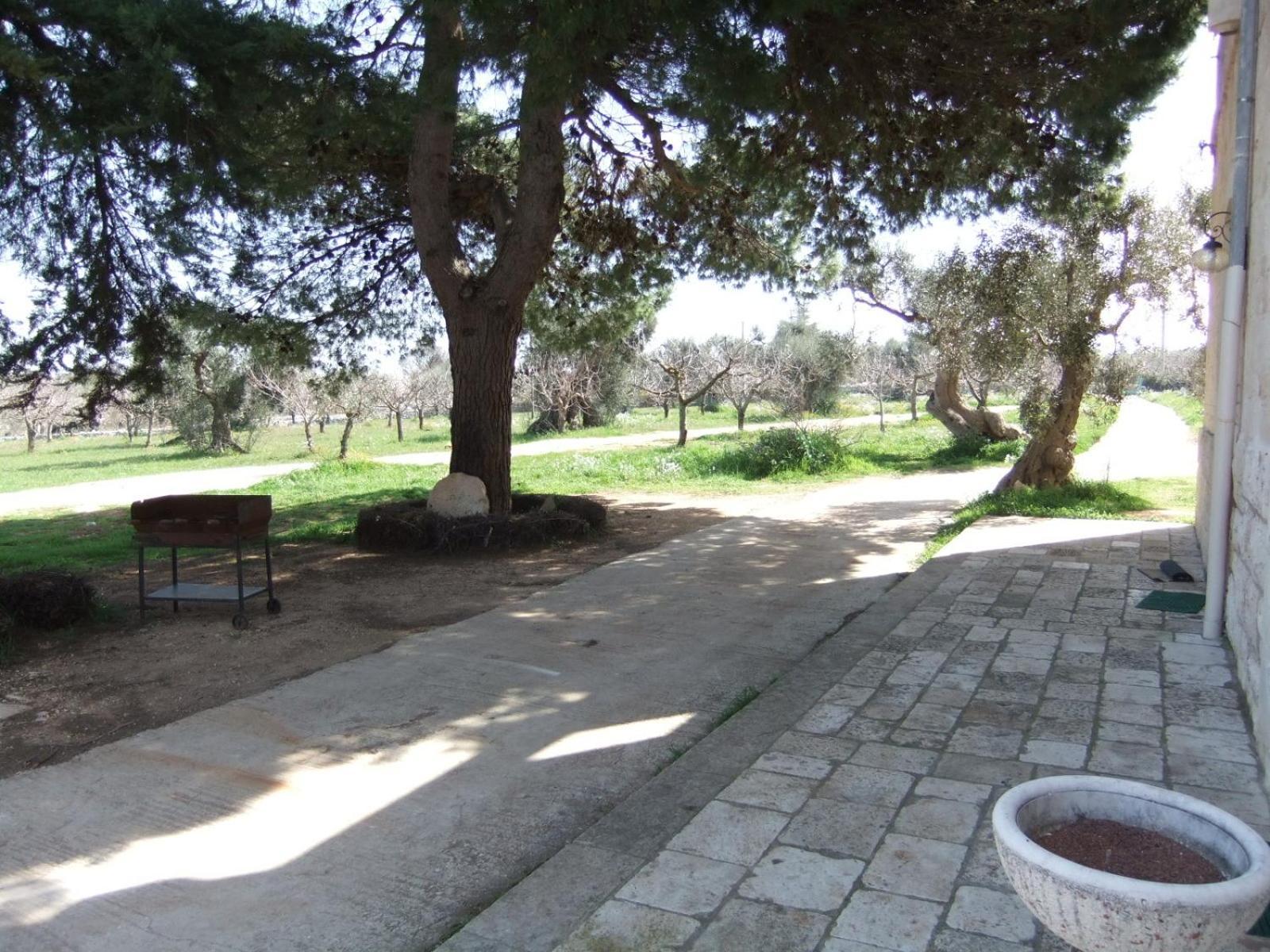 Masseria La Luna Nel Pozzo Castellana Grotte Exteriér fotografie